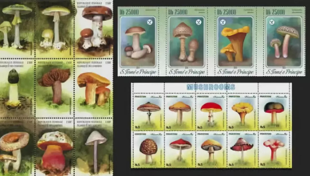 搞笑诺贝尔奖中国得主外国人反应,2019年搞笑诺贝尔奖