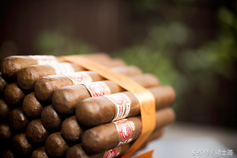 雪茄新手从零入门 (雪茄的十大基本知识)