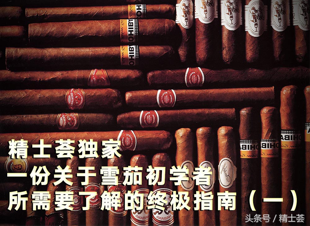雪茄的基本知识大全,雪茄知识普及