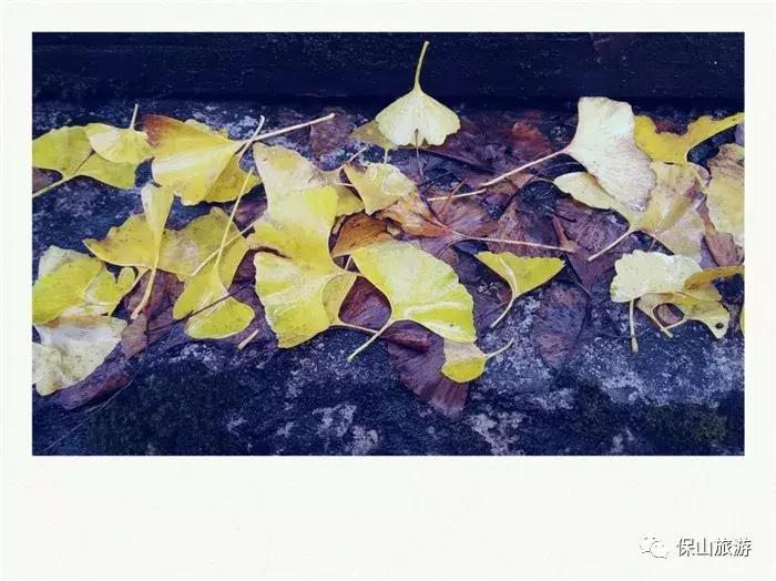 银杏村是个什么样的村落？它的美可以让人摒弃浮躁忘却烦恼