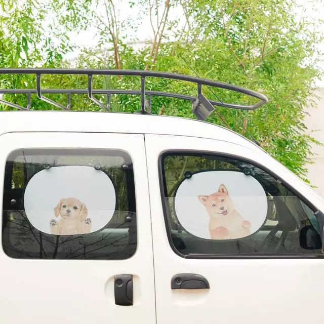 日本人家里东西太多,日本必备10种东西