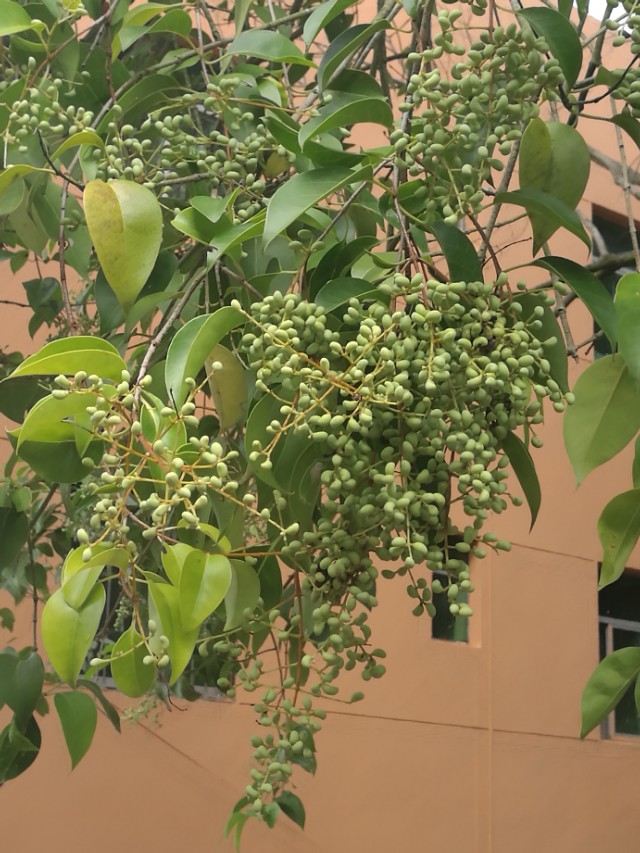 把关爱传递给你最关心的人,对老人最好的关爱是陪伴