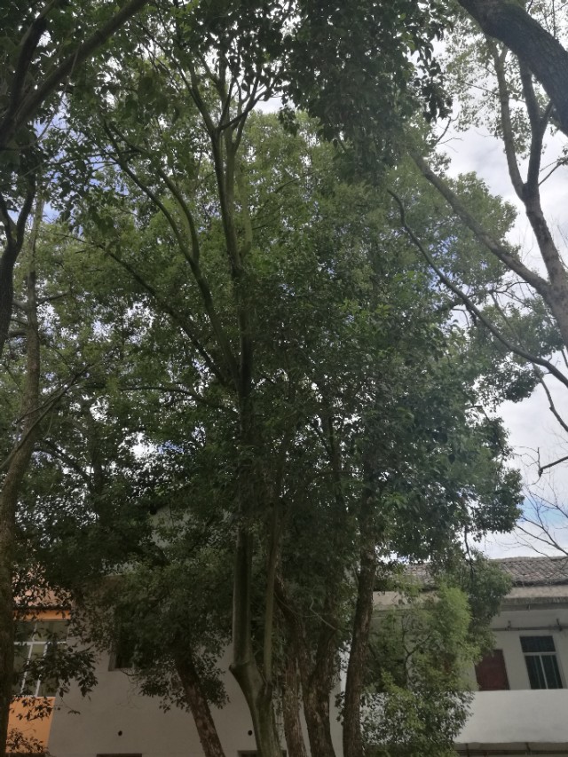 把关爱传递给你最关心的人,对老人最好的关爱是陪伴