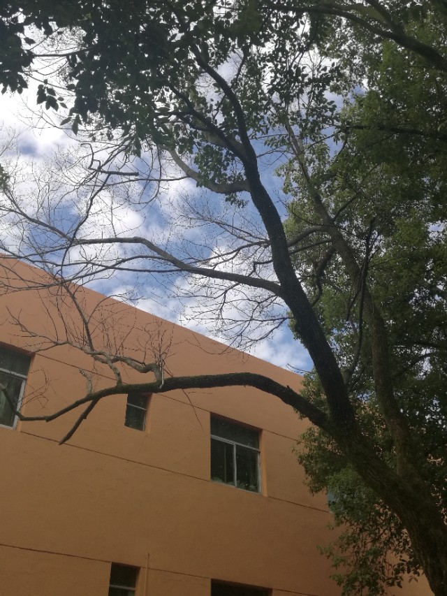 把关爱传递给你最关心的人,对老人最好的关爱是陪伴