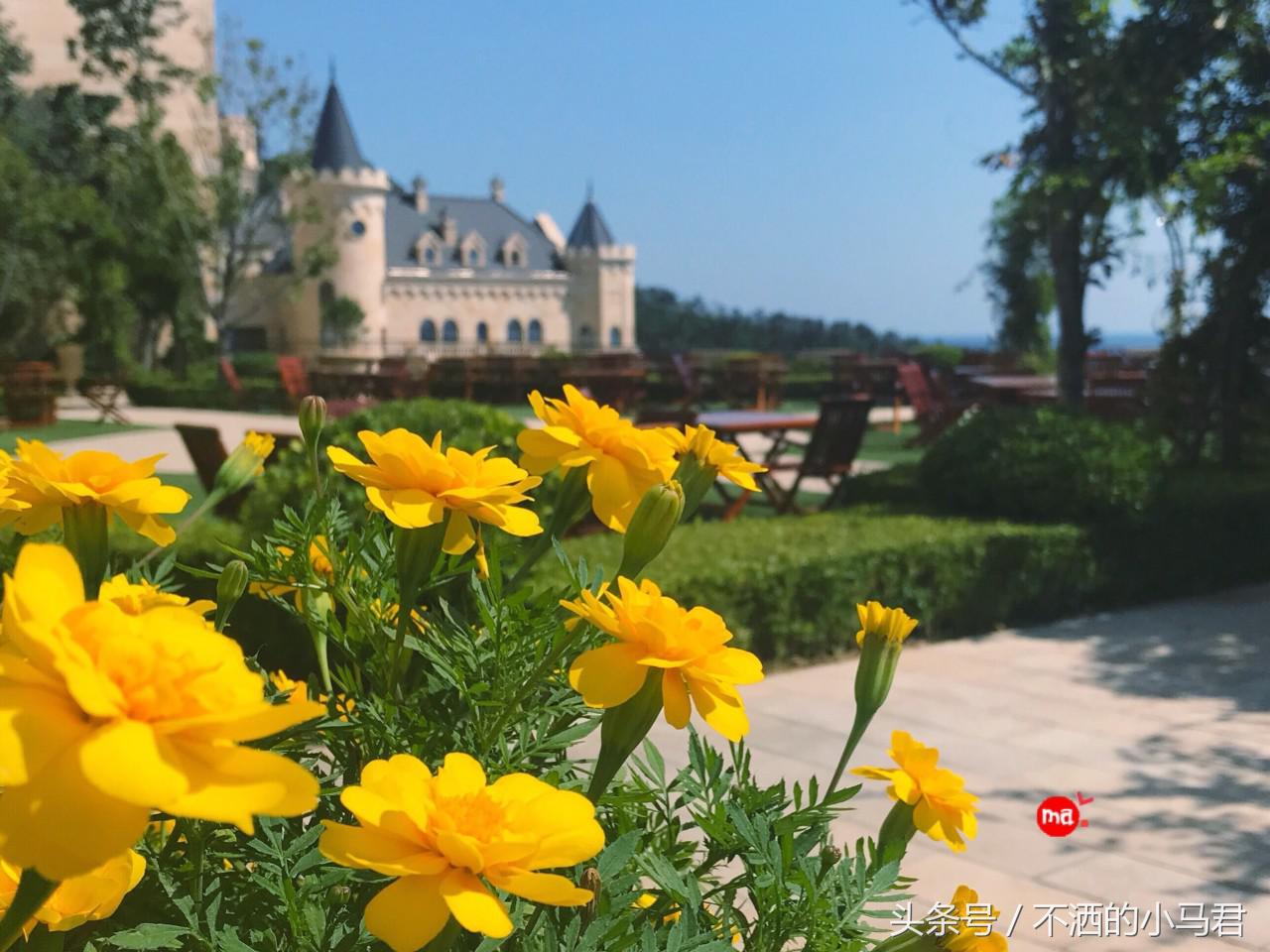 大连看海最佳酒店星海广场,大连星海广场城堡酒店