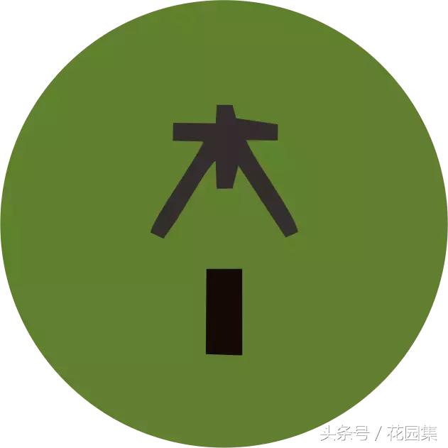 庭院栽什么树风水好,庭院最好的风水布局