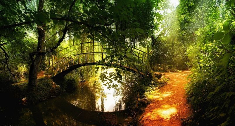 璇椾汉寮犵窘,寮犵窘姹熻タ