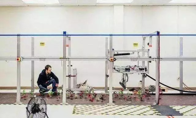 农业暴富的六大机会,中国农业暴富机会