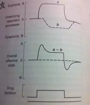 为什么毒贩都不要命,为什么毒品这么难戒亲身经历