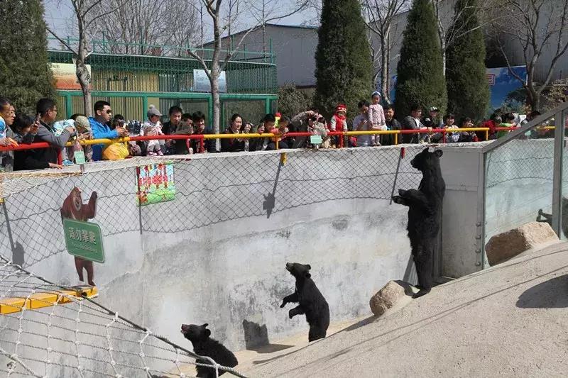 潍坊金宝乐园2022年初一免费吗,2010年潍坊金宝乐园快乐向前冲