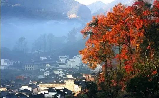 婺源10月,10-11月的婺源