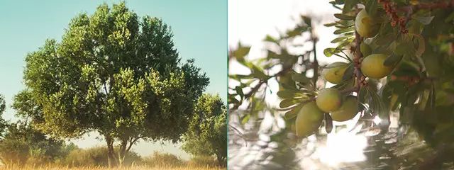 脚部干裂起皮用它一抹全搞定,脚后跟干裂好物推荐