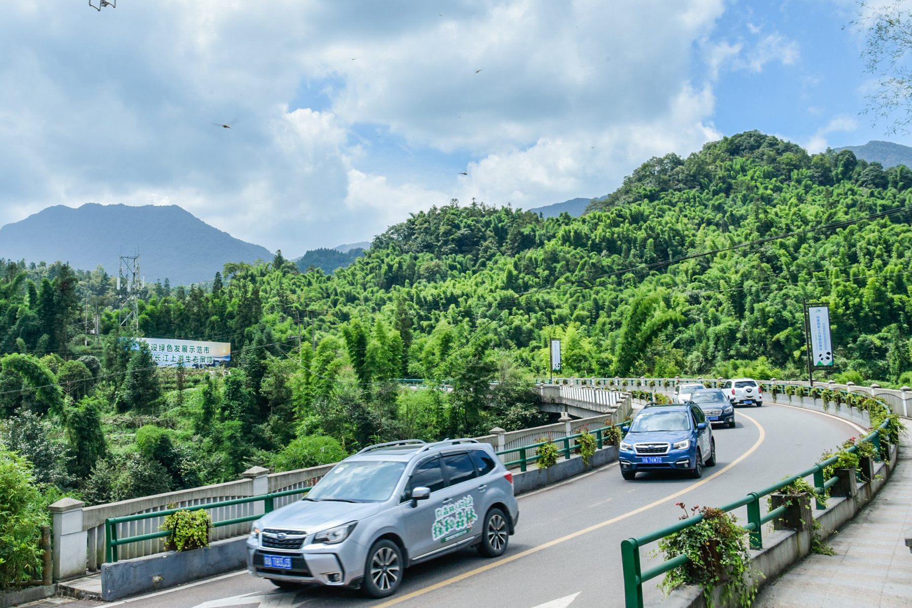 斯巴鲁为什么大家都买,斯巴鲁为啥那么多人买