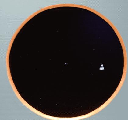 娓告垙and浜洪棿,娓告垙game浜虹敓