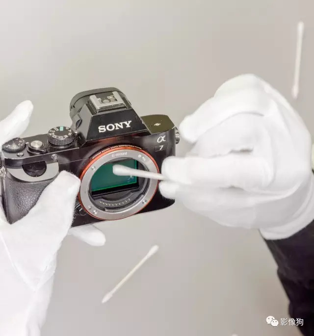 佳能尼康索尼哪个相机质量最好,佳能尼康索尼出图效果