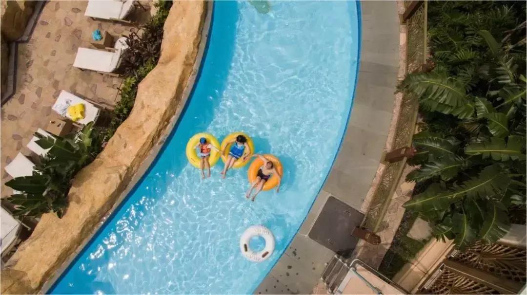 港珠澳大桥穿梭巴士香港下车点,港珠澳大桥穿梭巴士全程多久