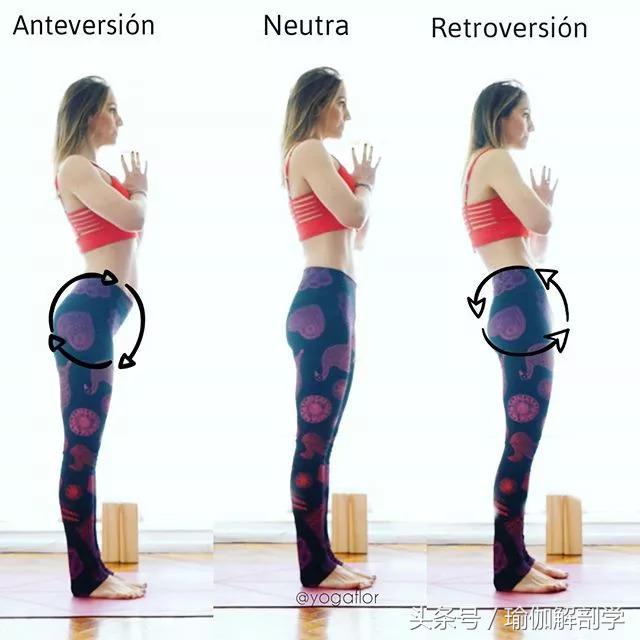 你必须了解的瑜伽基本常识,瑜伽小知识瑜伽入门八个基本常识