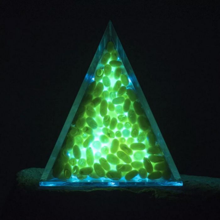 一个茧只有一根丝吗,一个茧是由一根丝组成的吗