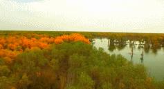 跟着玄奘西行,跟着唐僧去旅行观感和收获