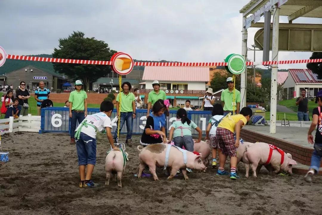 亲子牧场推荐,亲子牧场有哪些