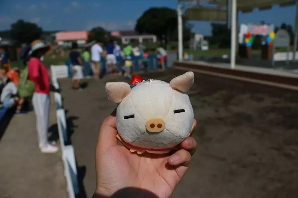 亲子牧场推荐,亲子牧场有哪些