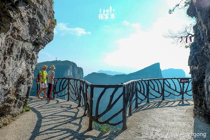 去张家界旅游跟团还是自己游,去张家界自己玩还是团玩便宜