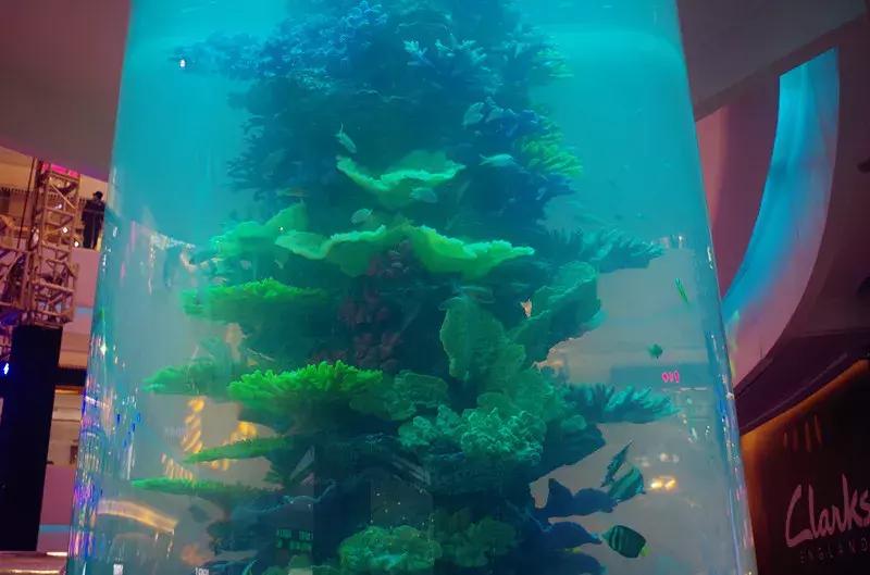 悦荟哪里有,悦荟情侣套餐