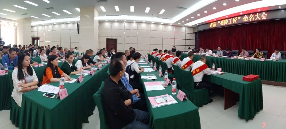 南充嘉陵网红前十名,南充十大著名的人