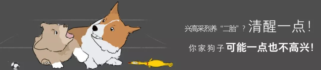 狗狗震惊且害怕,震惊狗狗的行为