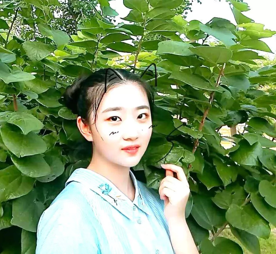 领悟写作方法以读促写,伴读阅读训练方法