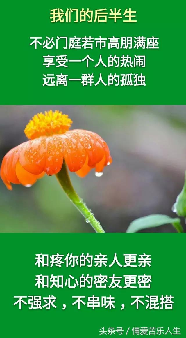 我们的后半生的美文,我们的后半生全集