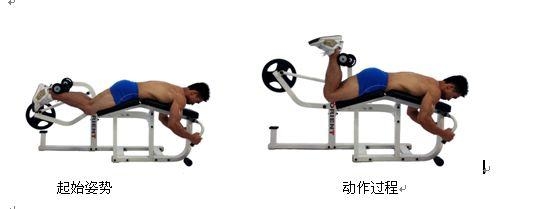 腿部肌肉太发达怎么办,如何加强腿部肌肉的锻炼