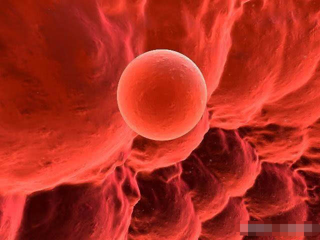 排卵日后多少天能测出来怀孕,排卵日后的多少天可以测出怀孕