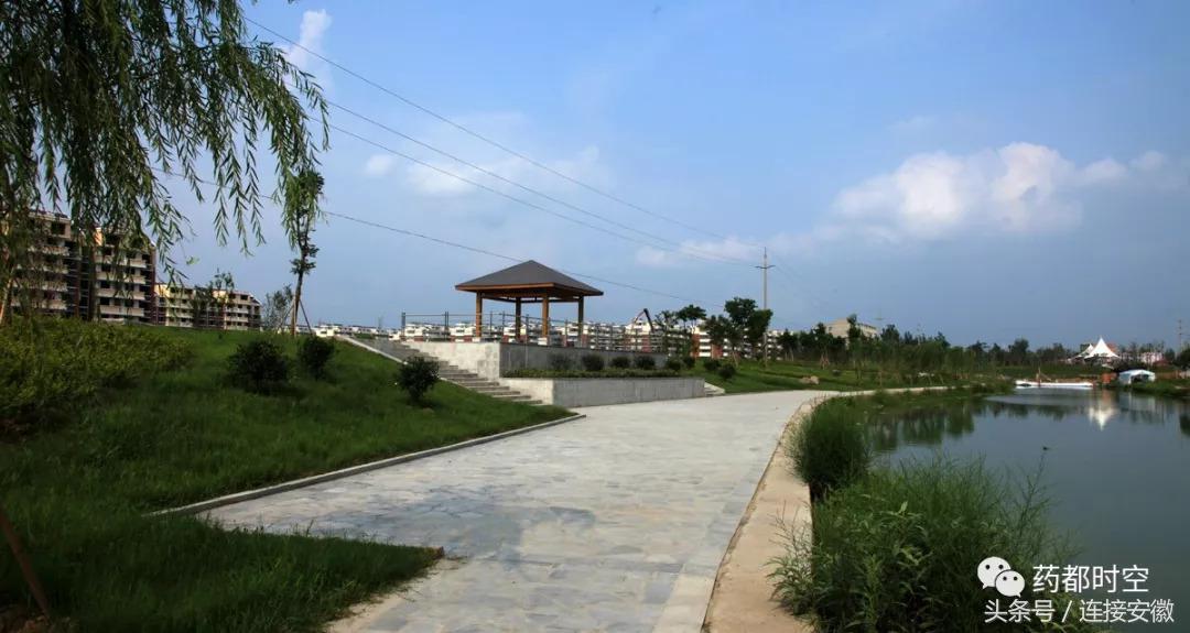 亳州市十八岁的照片,安徽亳州地级市排行