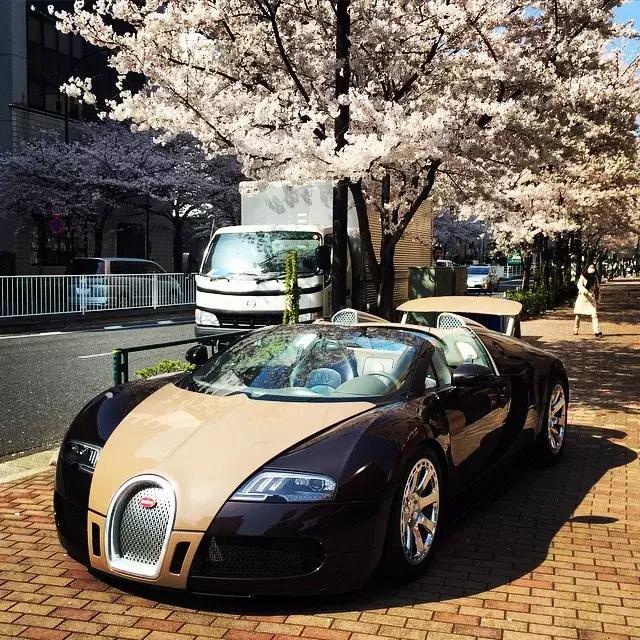 土豪界的泥石流，他花17亿成世界首位坐私人火箭环游月球的人……