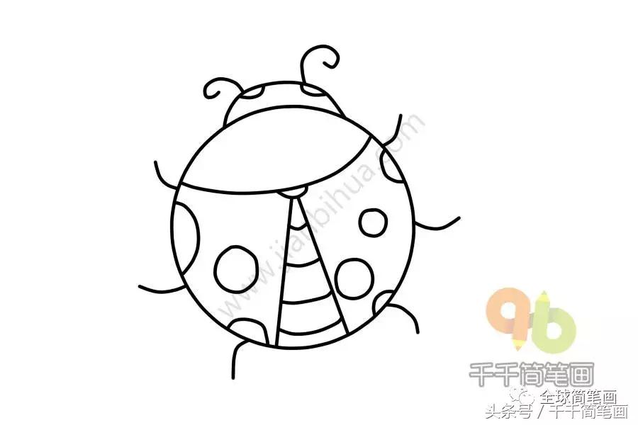 画画教学简笔画圆形的动物,圆形动物小乌龟简笔画