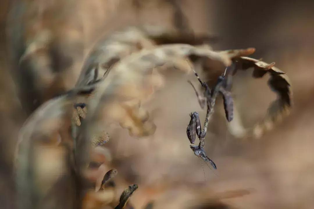 大美云南写真,大美云南山水