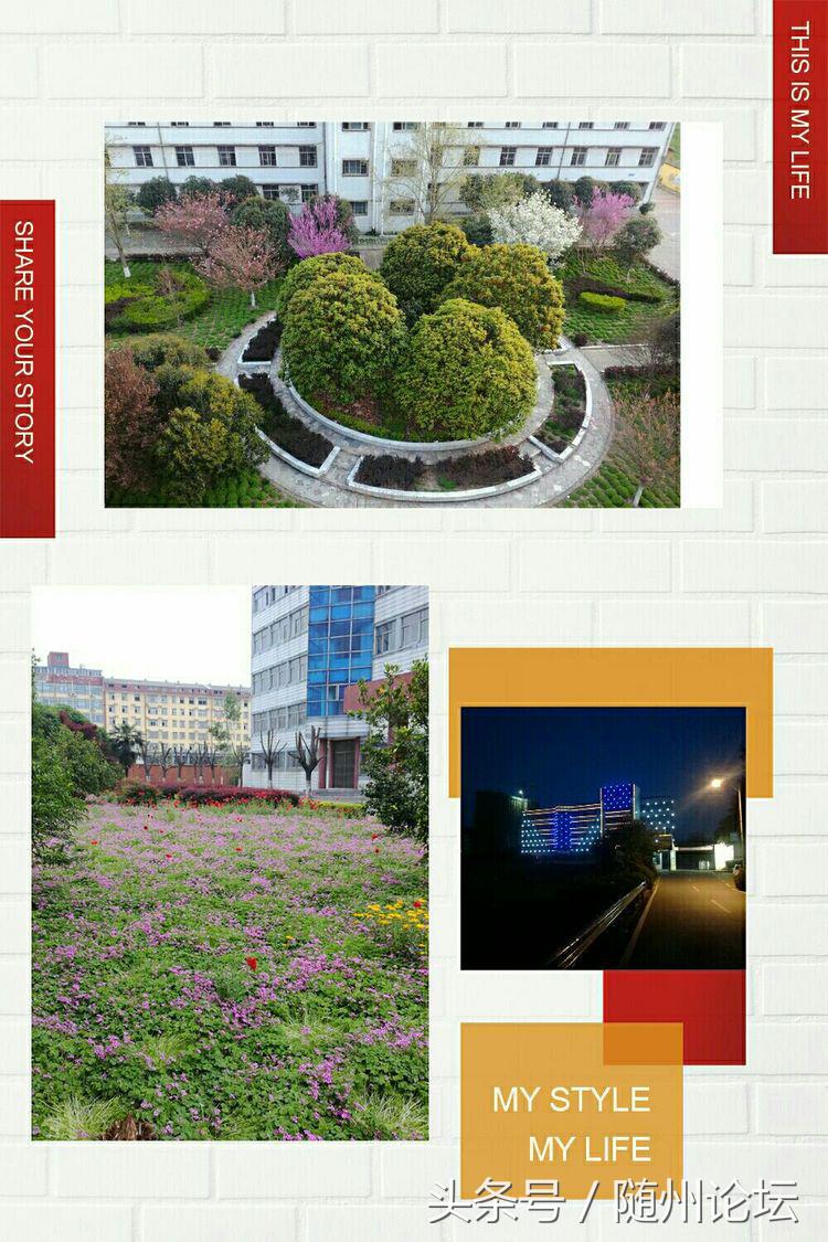 生态教育促成长浓墨重彩绘华章——记阔步前进中的洪山镇中心学校