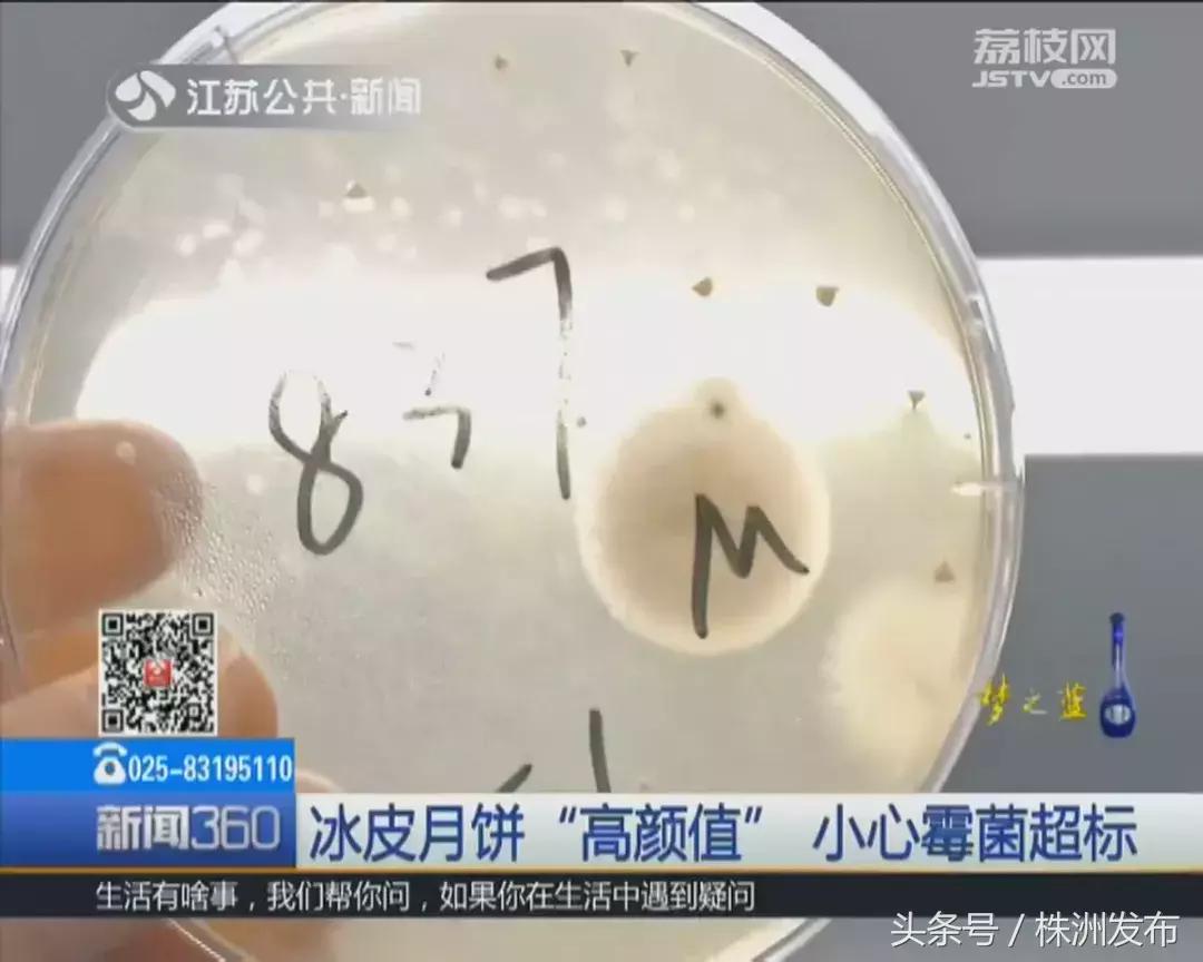 这些月饼不合格,月饼常见的质量问题