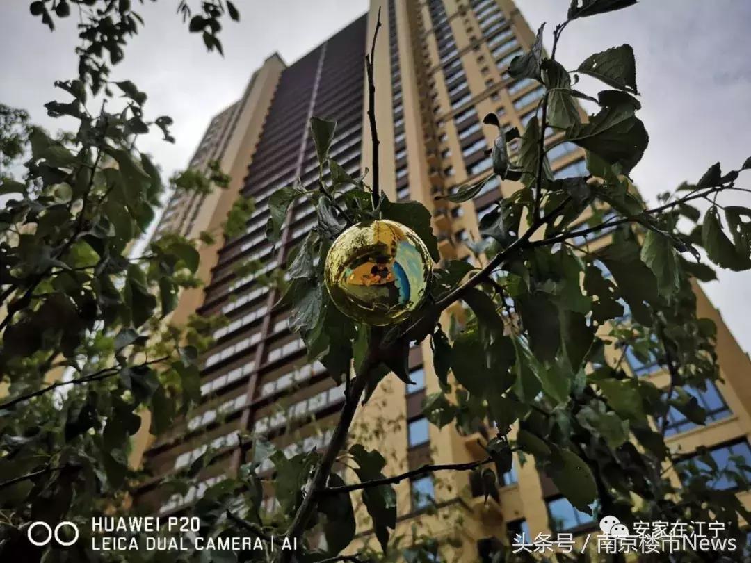 江宁最新房价一览,江宁楼市最新房价走势