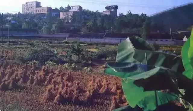 100张绝密南康老照片,100张信丰绝密老照片