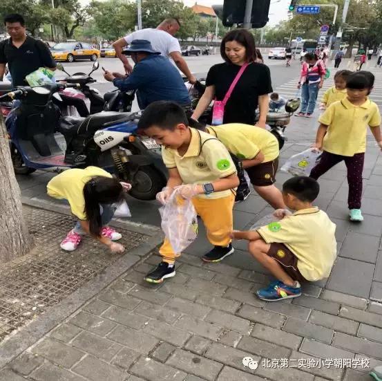 一年级小学社会实践体会,北京第二实验小学考察体会