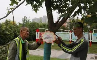 「每日微报」支付宝转账时备注标签要交20%的税？这是谣言！