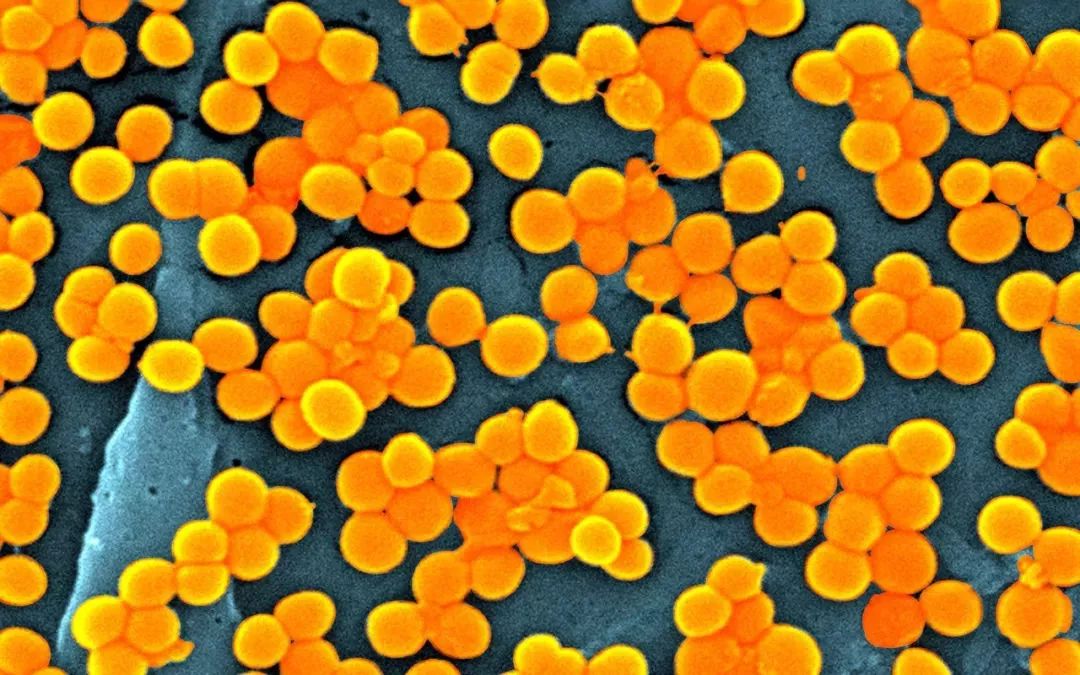 宇宙中最大数字单位你了解多少,宇宙的数字从最大到最小排名