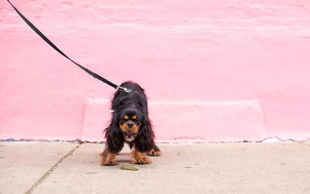 宇宙中最大数字单位你了解多少,宇宙中最大的数字计数单位