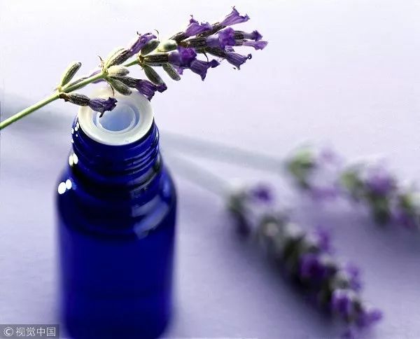 美人计皮肤,美人计皮肤管理