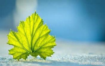 破财就是不好吗,破财是可以化解的吗