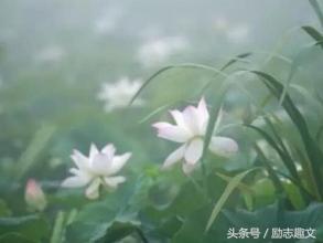 破财就是不好吗,破财是可以化解的吗