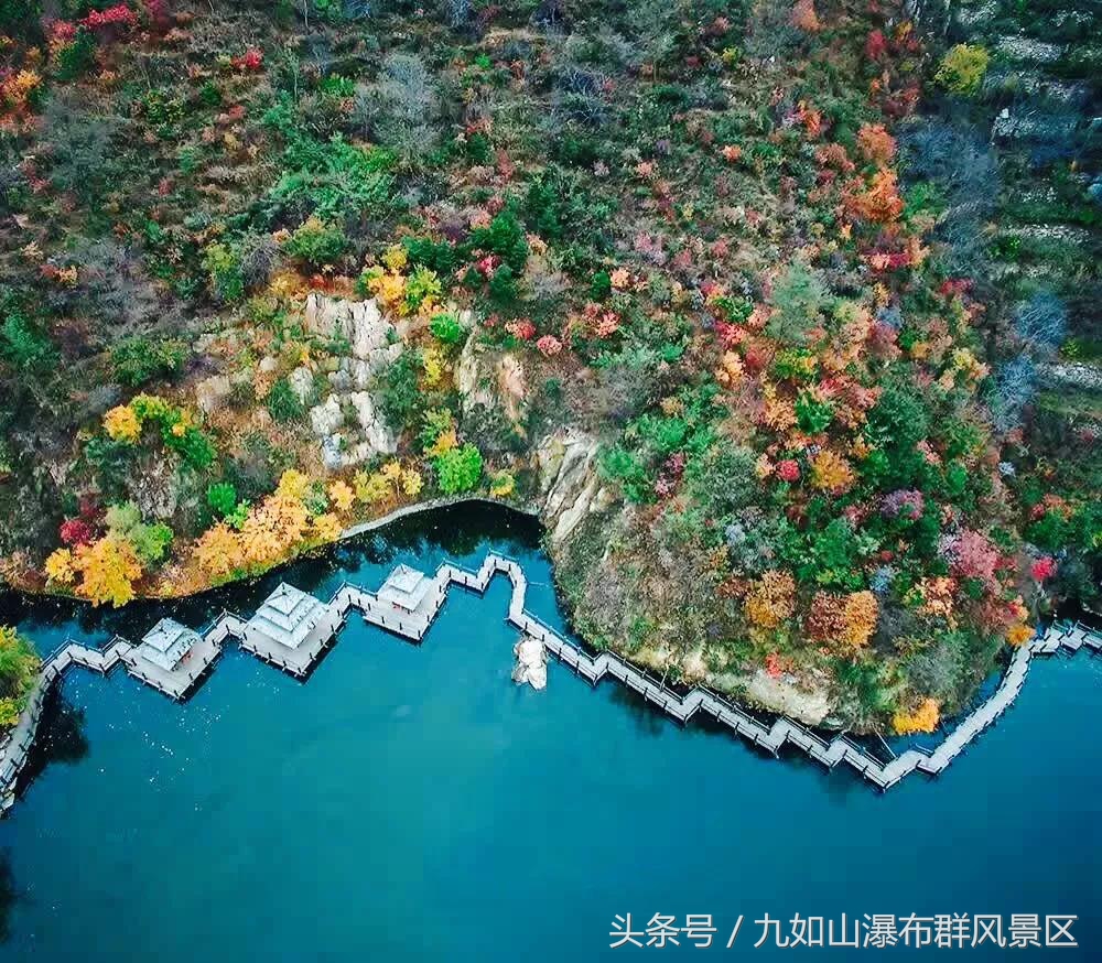 怎样用一百元吃遍上海美食街,如何用100元吃遍美食