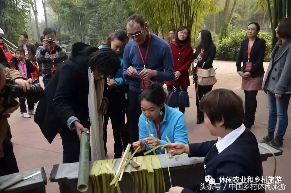 农业体验活动创意项目,休闲农业体验活动评估